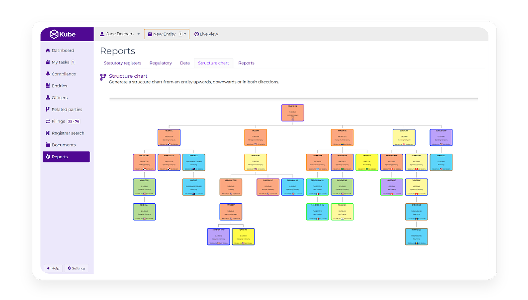 An example of a Structure Charts Preview from Kube's platform for foreign subsidiary management